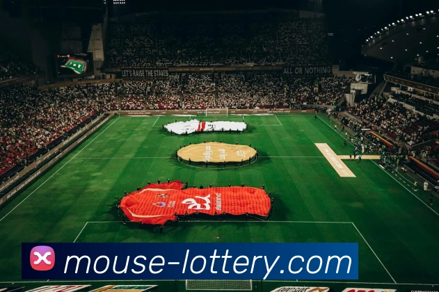 足球平台服务体系